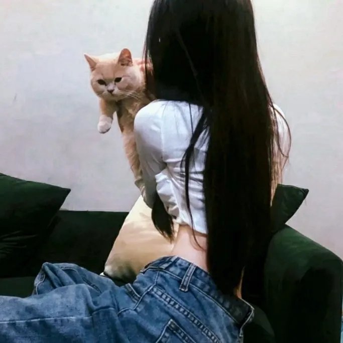 行运一条龙